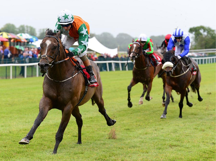 Shamrock Thoroughbreds